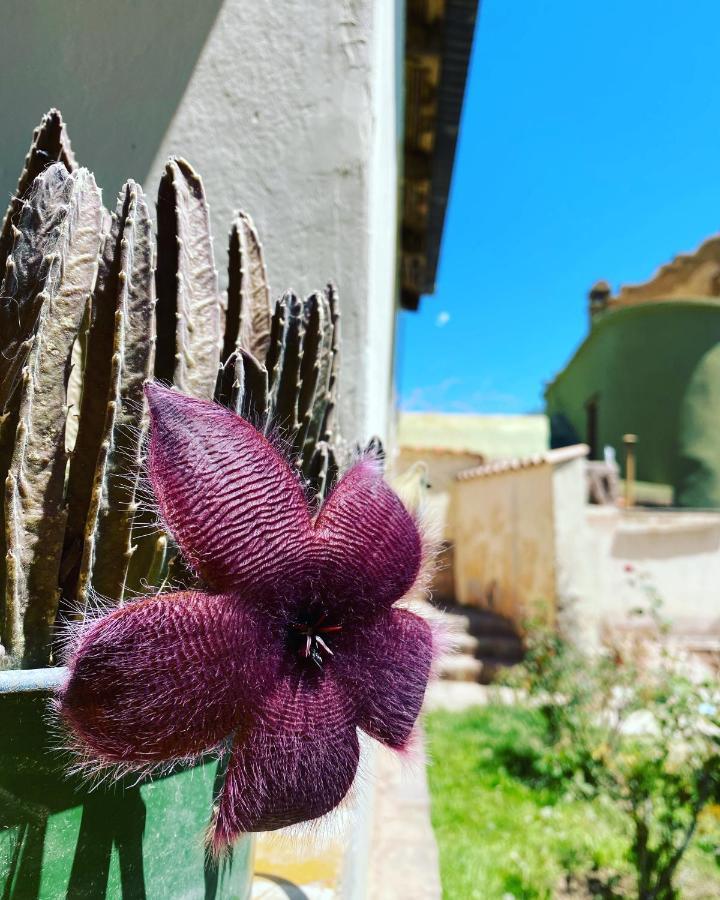 Bed and Breakfast El Convento De Tilcara Esterno foto